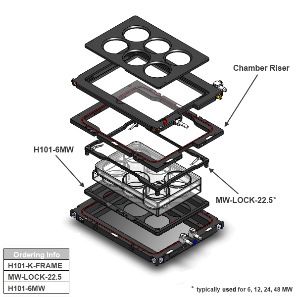 H101-K-FRAME-[6MW]_600x600.jpg